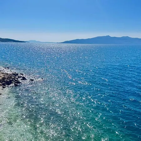 Sail Ocean View *